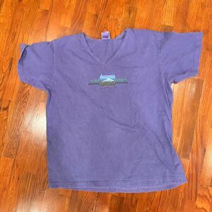 Vintage Mount Rainier Men's Purple and Blue T-shirt